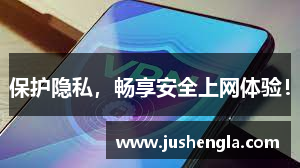 保护隐私，畅享安全上网体验！
